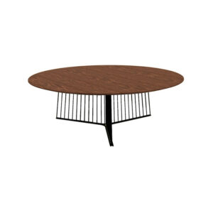 Anapo Coffee Table