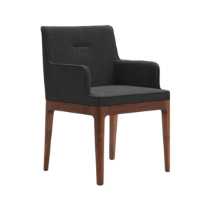 Earl Chair with Arms