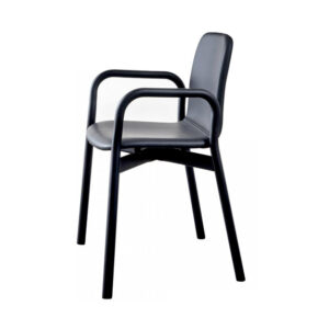 Two Tone Chair with Arms