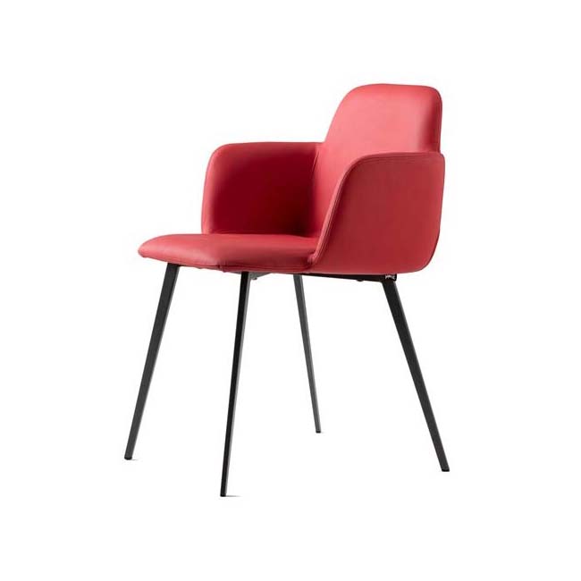 Bardot Chair with Arms