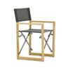 Victor Director Chair - Teak