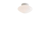 AP22 Mist Wall/ Ceiling Lamp