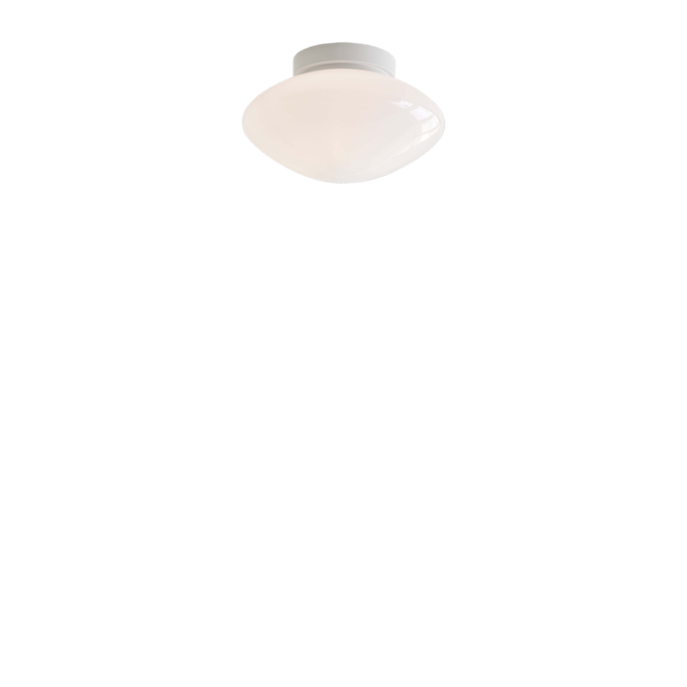 AP22 Mist Wall/ Ceiling Lamp