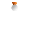 Dumbo 13 Wall/ Ceiling Lamp