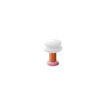 Carrot + Pink