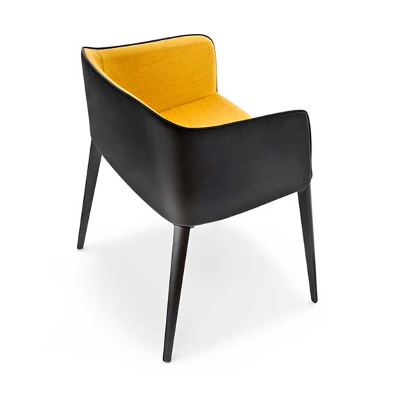 Laja Chair with Arms
